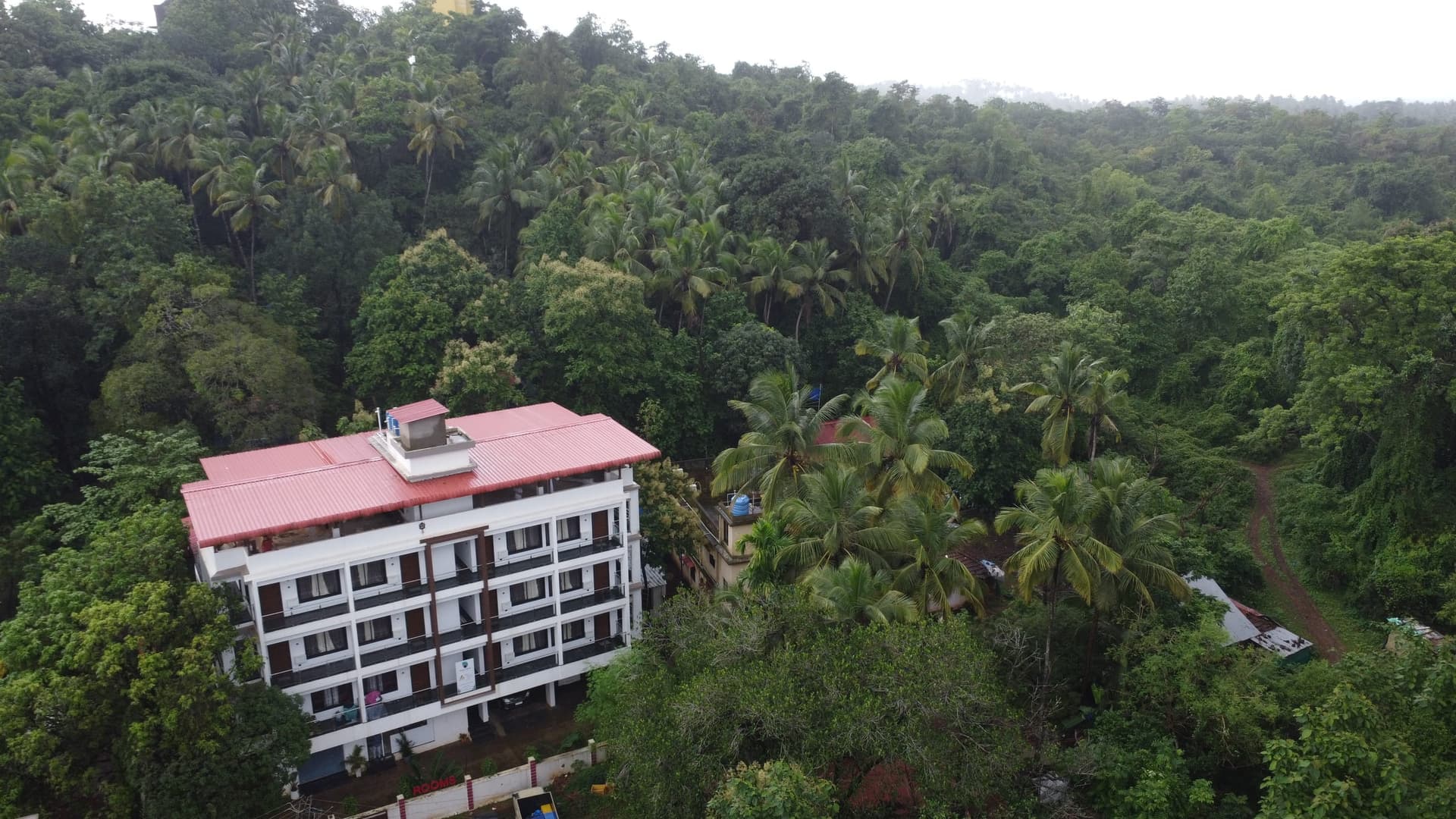 The house in a sea of palms and forest, seen from the drone